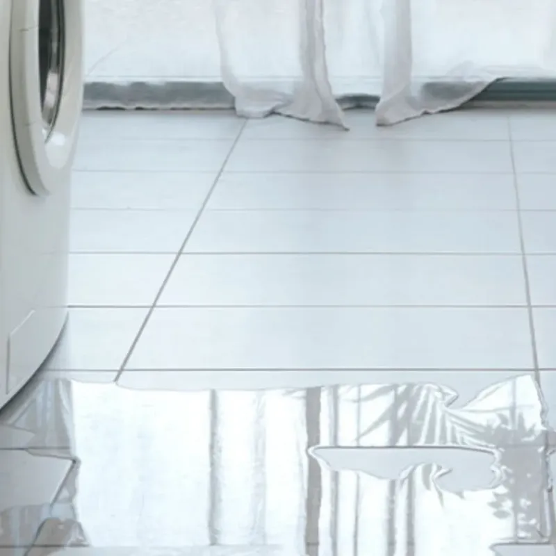 Appliance Leak Cleanup in Amherst, VA