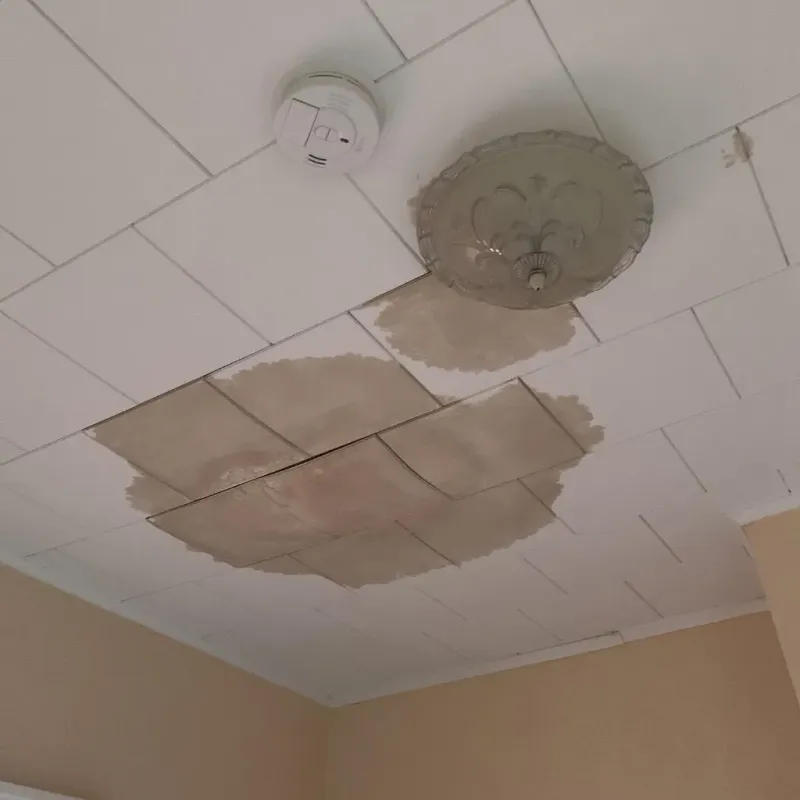 Ceiling Water Damage Repair in Amherst, VA