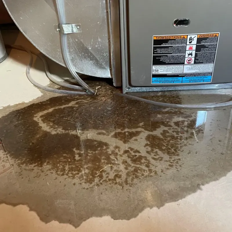 Pipe Burst and Leak Restoration in Amherst, VA
