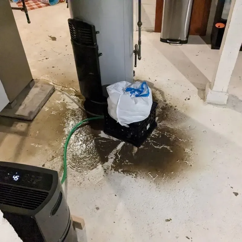 Sewage Backup Cleanup Service in Amherst, VA